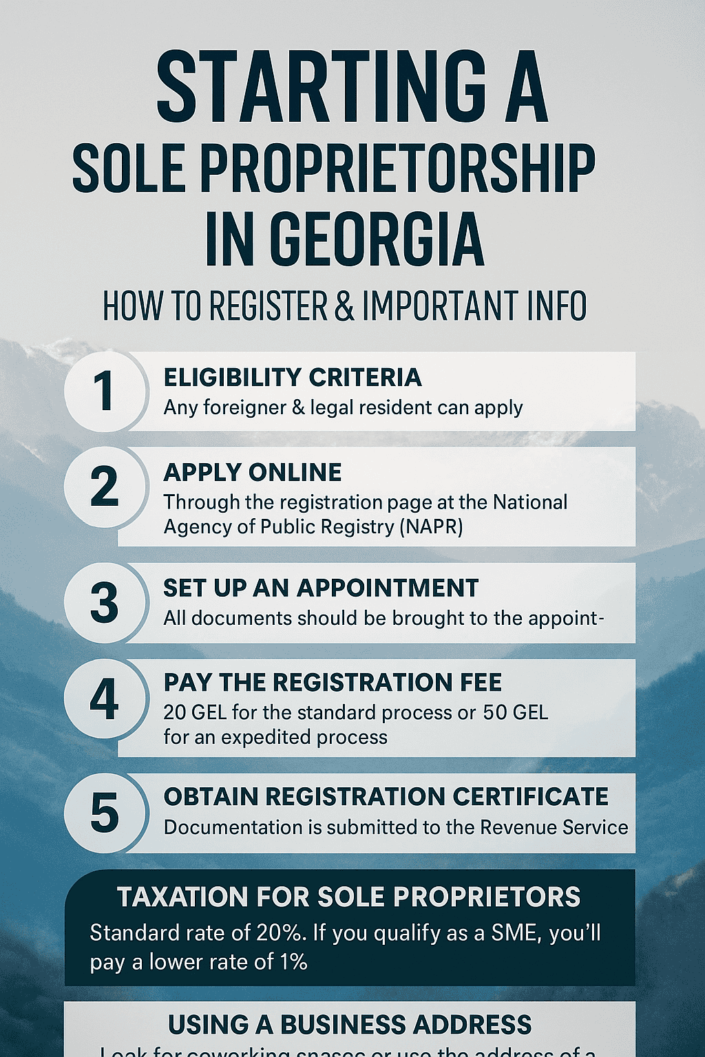 Sole Proprietorship in Georgia